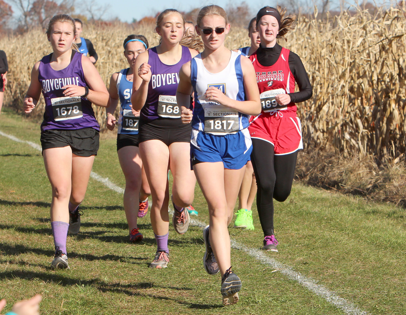 Division 3 Cross Country Sectionals in Boyceville 10-26-19